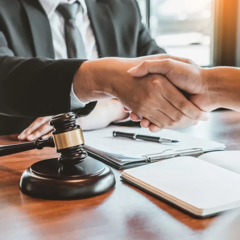 Not Afraid of the Courtroom